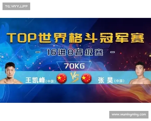 搏击赛事取个名字