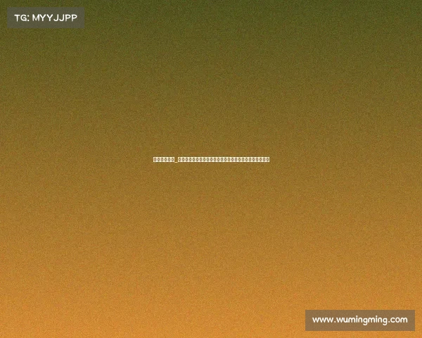 中国赛艇视频_中国赛艇赛事预算全方位规划与财务管理优化策略研究分析